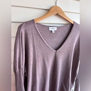 Evereve V Neck sweater